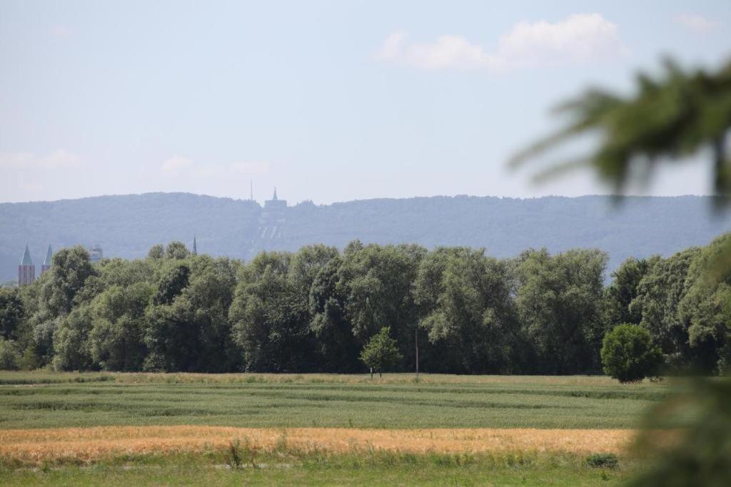 Ferienwohnung Art City-Studio Kassel 6 Und Art City-Studio 9 Екстериор снимка